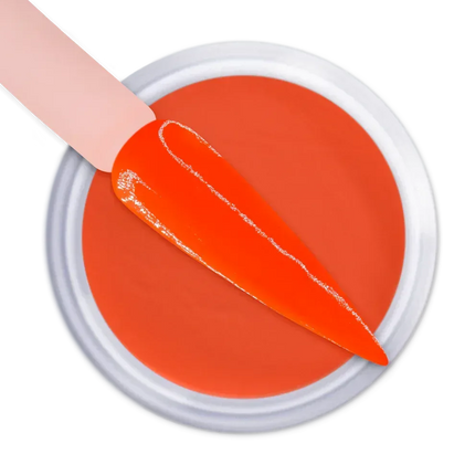 iGel Dip & Dap 2in1 Powder 2oz - #207 Thrill Seeker - TTT Nails Supply