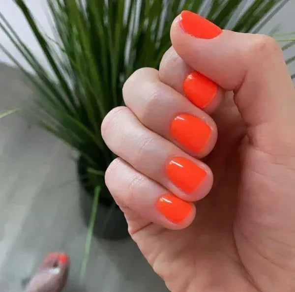 DC Duo Matching Color - #272 Hot Mess - TTT Nails Supply