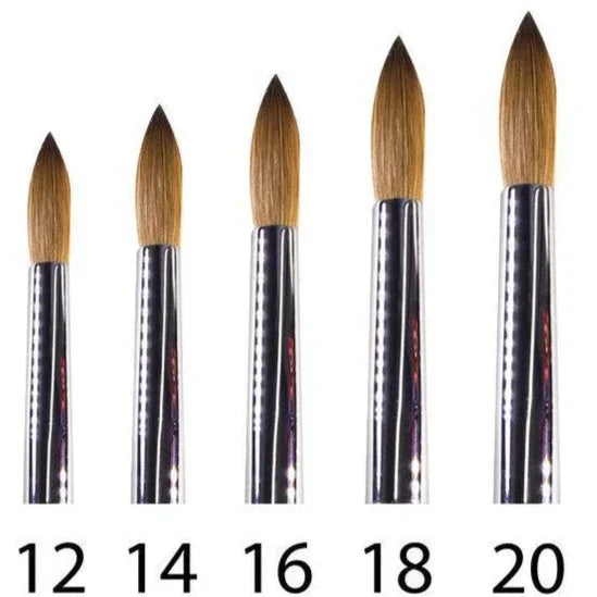 TNM - Beauty Plus Kolinsky 111 A+ Brush Size: 14 - 16 - 18