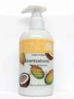 Mango & Coconut