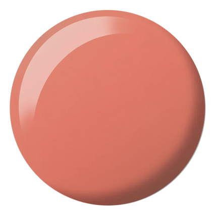 DC Duo Matching Color - #2462 Summa Peach 3