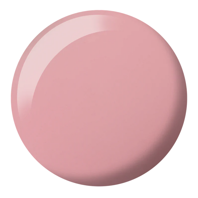 DC Duo Matching Color - #2469 C'est la Vie 4