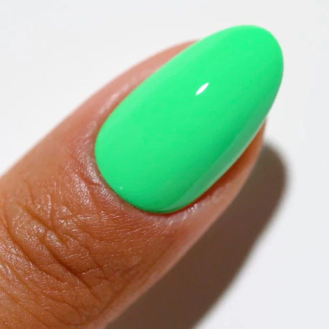 DC Duo Matching Color - #2537 Palm Tree 6
