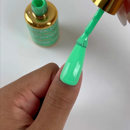 DC Duo Matching Color - #2537 Palm Tree 7