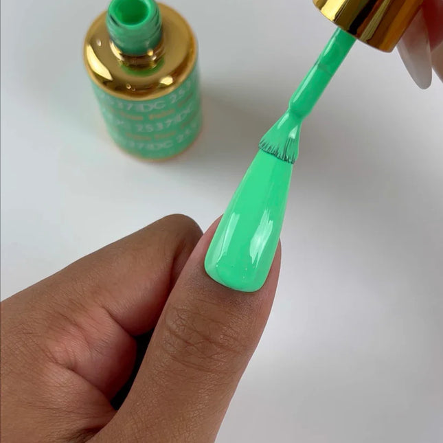 DC Duo Matching Color - #2537 Palm Tree 7