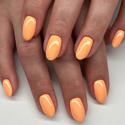 DC Duo Matching Color - #2538 Mandarin Glow 2