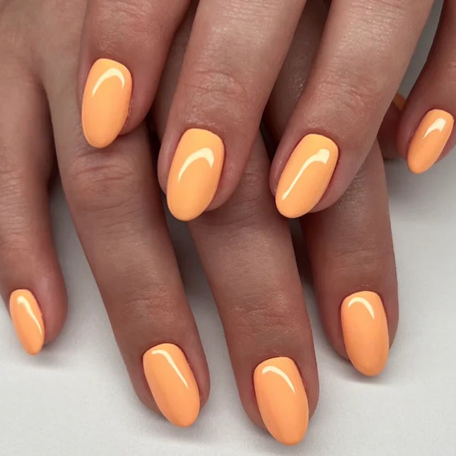 DC Duo Matching Color - #2538 Mandarin Glow 2