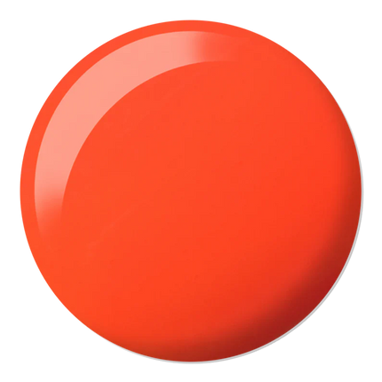 DC Duo Matching Color - #2542 Untamed 6