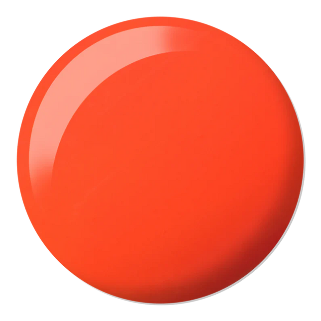 DC Duo Matching Color - #2542 Untamed 6