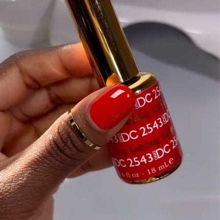 DC Duo Matching Color - #2543 Ladybug 4