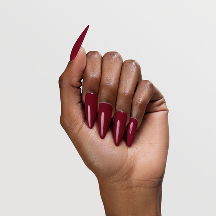 Chaun Legend - Limited Edition Holiday Bundle (10 Colors Set)