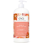 Mango & Coconut